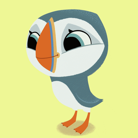 Cartoon Saloon GIF