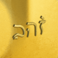 Gold Typography GIF