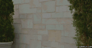 ouch wall GIF