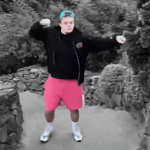 Side To Side Dance GIF