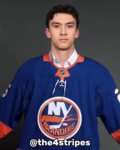 New York Islanders Hockey GIF