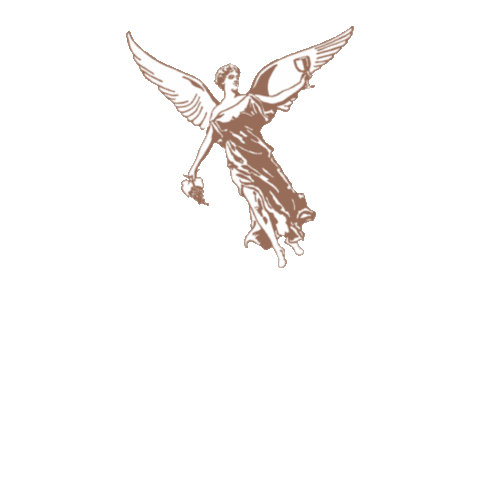 naracellar Sticker