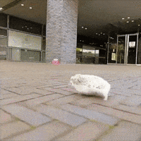 Sonic The Hedgehog GIF