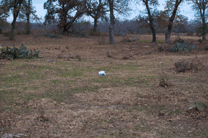 Celebration Explosion GIF by Zombie Response Team