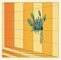 Les Fils du Facteur GIF