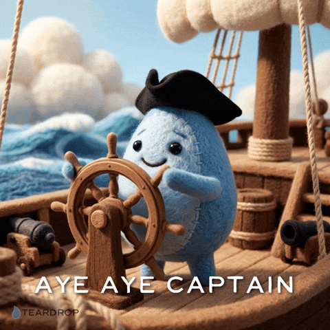 You Got It Captain GIF by Teardrop