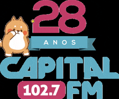 Capital Cascavel GIF