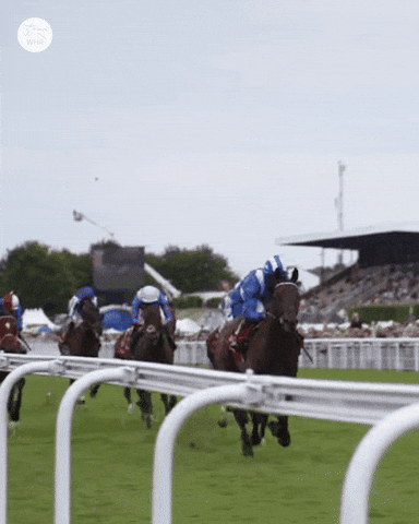 Winner Celebrate GIF by World Horse Racing