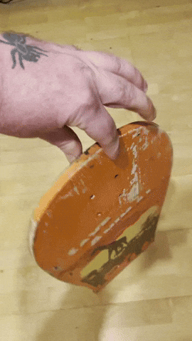 Skate GIF