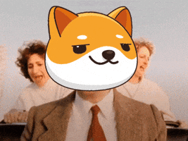 Fun Crypto GIF by Baby Doge Coin