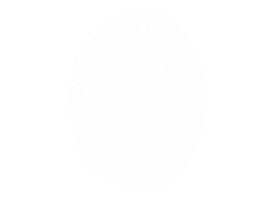 Sticker by SHSU Program Council