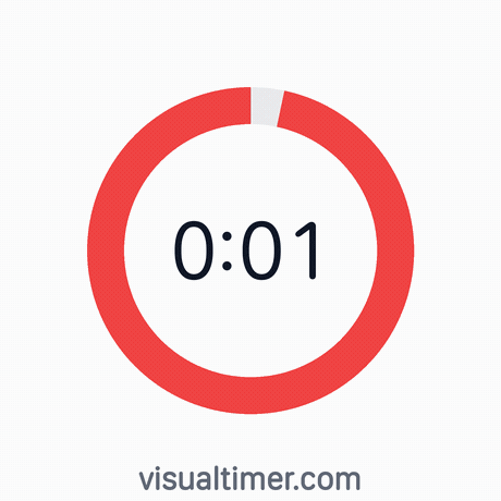 Timer 1S GIF by VisualTimer