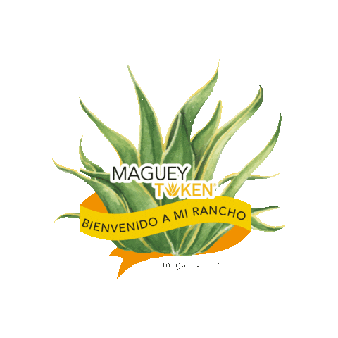 Mezcal Oaxaca Sticker by MagueyToken