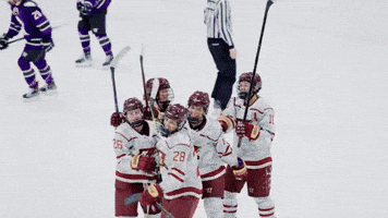 Ice Hockey GIF by Norwich University