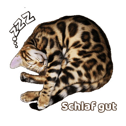 Sleepy Good Night Sticker by Kitty Fuchs