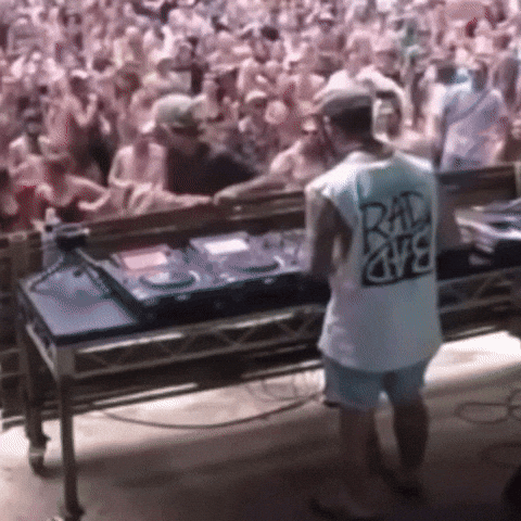 Dj Fail GIF by DJ Staub.Sepp
