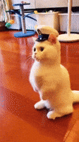 Aye Aye Captain GIF by hamlet