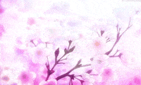 Cherry Blossom Anime Animated Picture Codes and Downloads  #109892375,593002520 | Blingee.com
