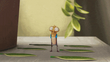 Suspicious Fly GIF by Aardman Animations
