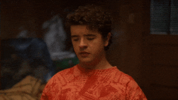 Stranger Things Dustin GIF