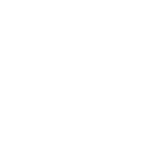 FEF Universitarios Puebla Sticker