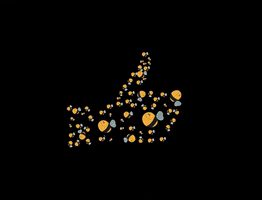MOSTbee GIF