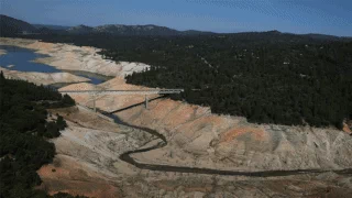 look california GIF