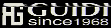 Guidi srl GIF