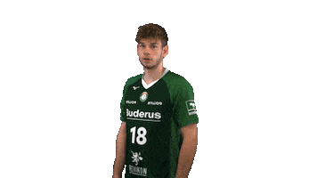 Celebrating Handball-Bundesliga Sticker by HSG Wetzlar