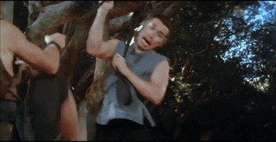 martial arts the young vagabond GIF by Shaw Brothers