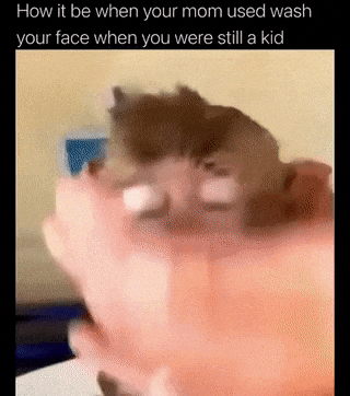 Wash GIF