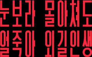 Efw GIF by Columbia Sportswear Korea