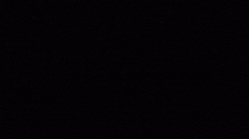 Dale Play Records GIF