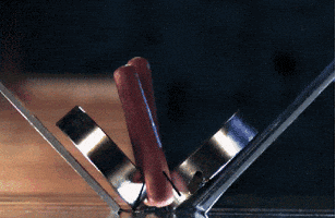 hotdog GIF