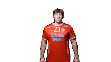 Kolstad Søgard Sticker by kolstadhandball