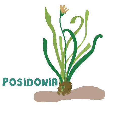 investigacionuca Sticker