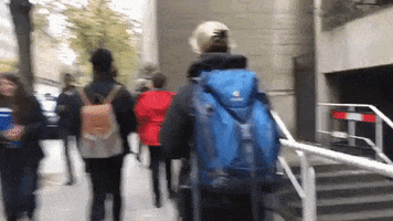 200.gif?cid=fc005b084aea1ef82e84de9cdb15a1c6a36a9a428b53d368&rid=200.gif&ct=g