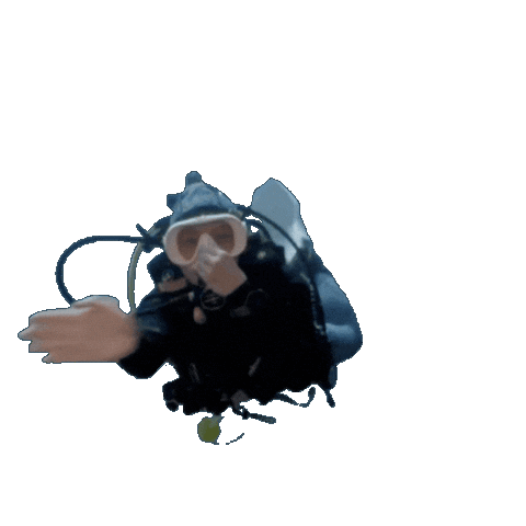 Scuba Diver Sticker by PADI