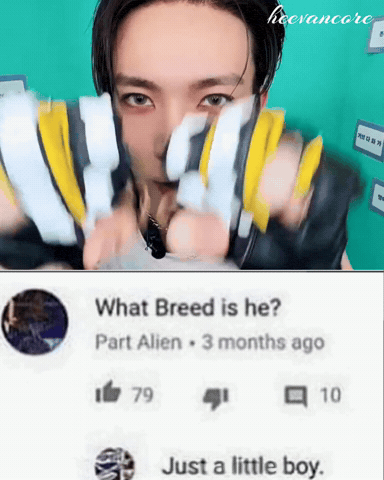 Evan Evanlee GIF