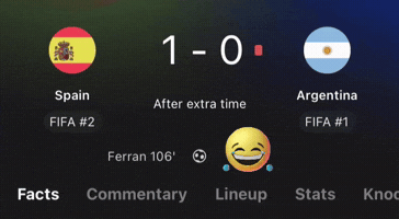 World Cup Final GIF