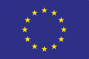Flag Eu GIF by EUinmyregion