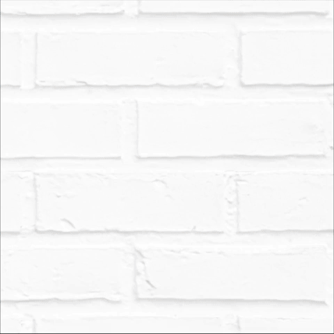 SWS Telly Award tweet square