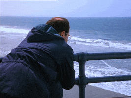 Seinfeld gif. Jason Alexander as George leans over a railing and gazes contemplatively at the waves rolling in on the beach.