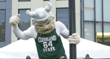 vikings celebrate GIF by Cleveland State University