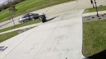 summercollider kid tko trash can garbage can GIF