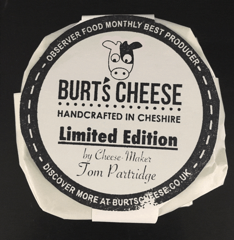 Cheese Cow GIF by Staniford Associates Ltd