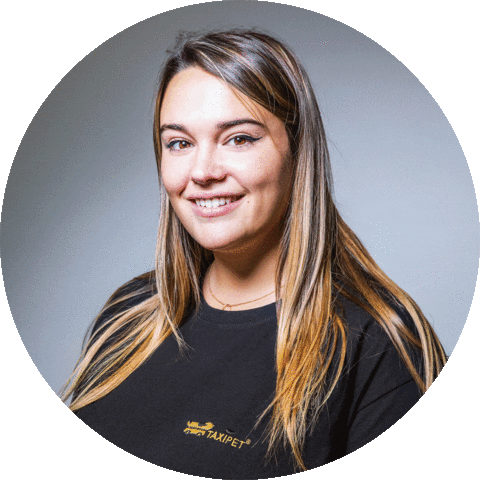 Taxipetmilano Sticker by TaxiPet