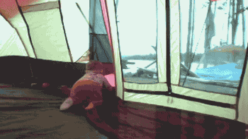 Video gif. Baby crawls over to the wall of a tent. All seems peaceful until a dog runs at full speed and bangs its head into the zipped up door. The dog stumbles away and the baby looks at us in shock.