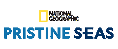 Sticker by NatGeoPristineSeas