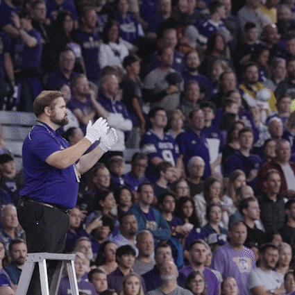 Bow Down University Of Washington GIF by Washington Athletics